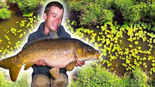 Carp Fishing on the River  an EPIC start to our fishing season [upl. by Yttocs]