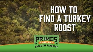 How to Find a Turkey Roost [upl. by Risan]