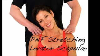 PNF Stretching  Levator Scapulae Muscle  Ask Dr Abelson [upl. by Dualc]