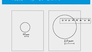 AS Biology  Using scale bars to calculate magnification [upl. by Nrek]