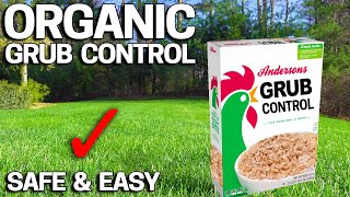 How to Get Rid of Grubs ORGANICALLY in the LAWN [upl. by Finley475]