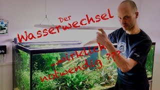 Wasserwechsel im Aquarium  Profi Tipp [upl. by Okomom]