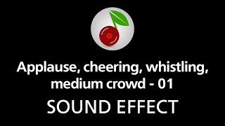 🎧 Applause cheering whistling medium crowd  01 SOUND EFFECT [upl. by Adelle582]