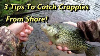 3 Crappie Fishing Tips Guaranteed To Catch Crappies From Shore [upl. by Eremihc]