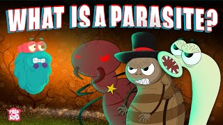 PARASITE  What Is A PARASITE  Biology For Kids  The Dr Binocs Show  Peekaboo Kidz [upl. by Baptlsta]