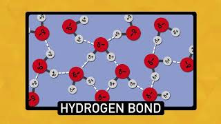 The Chemistry of Water  Chemistry Basics [upl. by Pollux]