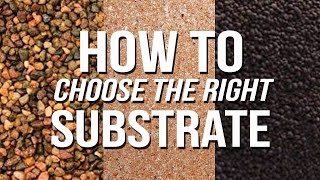 HOW TO Choose an Aquarium Substrate [upl. by Anehsak]