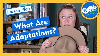 What Are Adaptations  Lesson Plan [upl. by Anippesuig]