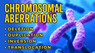 Chromosomal Aberrations  Deletion  Duplication  Inversion  Translocation [upl. by Prinz]