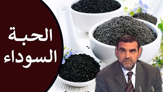 فوائد الحبة السوداء  لتقوية المناعة  الطريقة الآمنة لتناولها  محمد الفايد  نخل ورمان  dr faid [upl. by Ardiedal415]