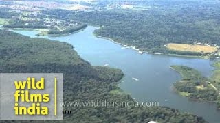 Volga River and taiga forest  aerial footage [upl. by Kipp13]