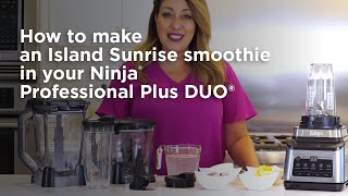 Blender  How To Make a Smoothie Ninja® Professional Plus DUO® [upl. by Leake]