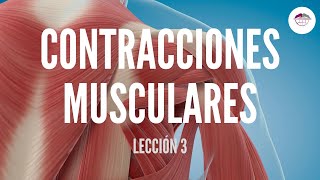 3 CLASIFICACIÓN DE LAS CONTRACCIONES MUSCULARES FISIOLOGÍA MUSCULAR [upl. by Saisoj]