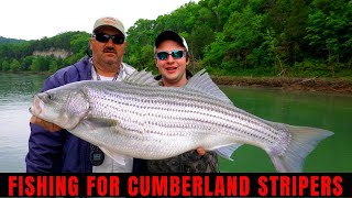 Cumberland River Striper Fishing [upl. by Asen]