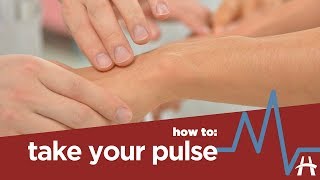 How to take your pulse [upl. by Avram757]