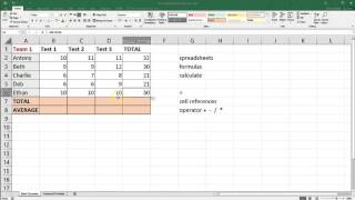 Spreadsheet Basics  Microsoft Excel [upl. by Iphigeniah]