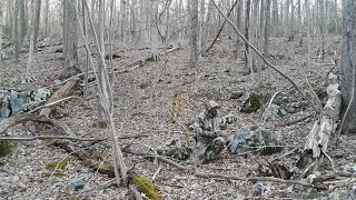 Cabelas Outfitter Camo Effectiveness Test  Early Spring Upstate NY [upl. by Barry]