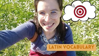 Latine loqui  Latin vocabulary ATTINGERE [upl. by Leitnahs]