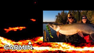 LiveScope Musky Jigging Garmin Panoptix [upl. by Rudie]