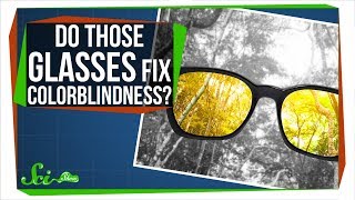 Do Those Glasses Really Fix Colorblindness [upl. by Dwyer]