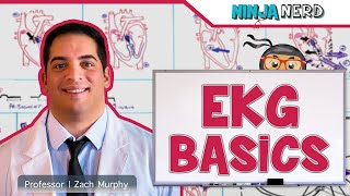 EKG Basics  How to Read amp Interpret EKGs Updated Lecture [upl. by Hgielac643]