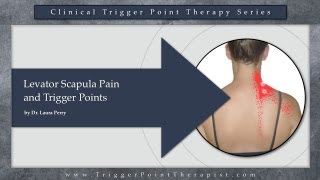 Levator Scapula Pain and Trigger Points [upl. by Halladba]