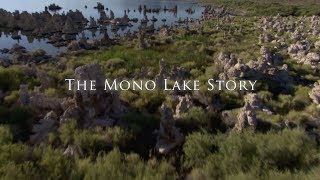 The Mono Lake Story [upl. by Yseult147]