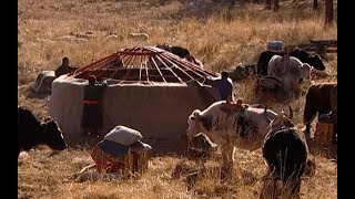 The Nomadic Existence of a Mongolian Herding  Tribe  Earth Unplugged [upl. by Inoliel]