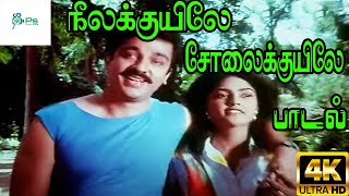 Neela kuyile sola kuyile  நீல குயிலே  Arun Mozhi Chitra  Love Melody Duet H D Song [upl. by Ayatnahs473]