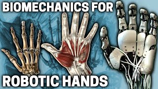 Biomechanics of the CMC Joint for Bionic Hands  Biomimetic Mechatronic Hand Part 4 [upl. by Neelrak]