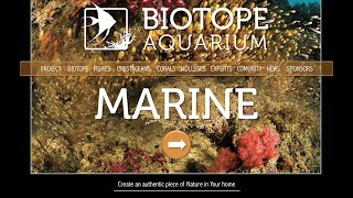 BIOTOPE AQUARIUM Project – MARINE [upl. by Armitage]