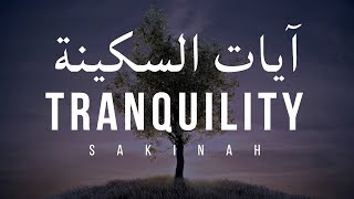 AYAT OF TRANQUILITY  SAKINAH أيات السكينة لدفع الهموم [upl. by Alrzc935]