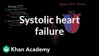 Systolic heart failure pathophysiology  Circulatory System and Disease  NCLEXRN  Khan Academy [upl. by Kcirdled]