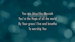 Darlene Zschech  Victors Crown Official Lyric Video [upl. by Halden512]