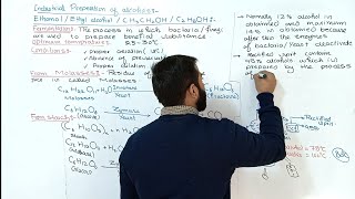 Industrial preparation of Ethanol  preparation of ethanol from molasses and starch  12th class [upl. by Ailana]