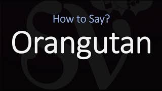 How to Pronounce Orangutan CORRECTLY [upl. by Auhsuj]