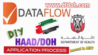 Dataflow HAADDOH Application Process Using My Phone Only UAE Abu Dhabi  Total cost in AED [upl. by Yerffoeg956]