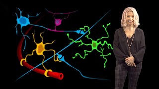 Beth Stevens Boston Children’s 1 Microglia States in Health and Disease [upl. by Anileme]