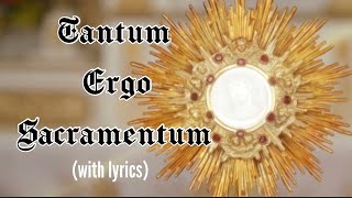 Tantum ergo Sacramentum lyrics Holy Hour HymnEucharistic Adoration Chant Catholic [upl. by Hodgson978]