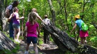 Basics of Hiking with Kids [upl. by Iroj]