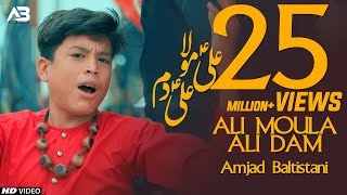 ALI MOLA ALI DAM DAM  AMJAD BALTISTANI  Official Video  TNA RECORDS [upl. by Milon34]