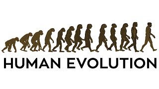 Human Evolution Animation [upl. by Greenquist]