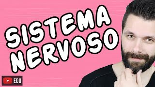 SISTEMA NERVOSO  FISIOLOGIA  Aula  Biologia com Samuel Cunha [upl. by Ueihtam]