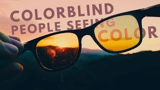 Colorblind people seeing color for the first time Enchroma Glasses Compilation [upl. by Eiggem]