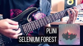 Selenium Forest by Plini  GUITAR COVER [upl. by Aisnetroh]