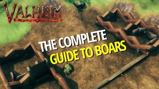 Complete Guide To Boars Breeding Production Fire Safety  Valheim [upl. by Notyarb]