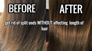 How To Get Rid Of Split Ends WITHOUT affecting length [upl. by Greenleaf]