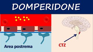 Domperidone  How it acts as an antiemetic [upl. by Eenerb245]