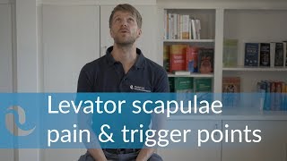 Levator Scapulae Pain amp Trigger Point Activation [upl. by Horlacher]