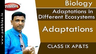 Adaptations  Adaptations in Different Ecosystems  Biology  Class 9  APampTS [upl. by Cheshire392]